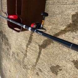 豆アジと豆サバ