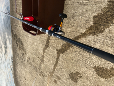 豆アジと豆サバ