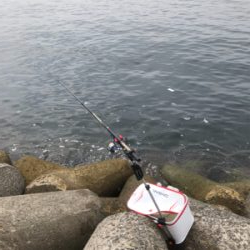 波止グレ釣り