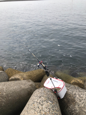 波止グレ釣り