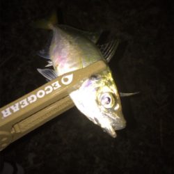 フロートアジング