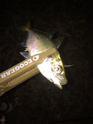 フロートアジング