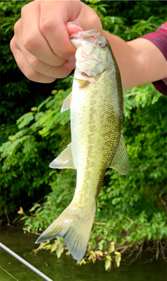 初の津風呂は試練の連続でした