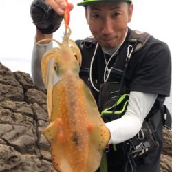 春烏賊最終かな?☆GUNNING-STYLE