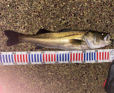 仕事帰りに一本！