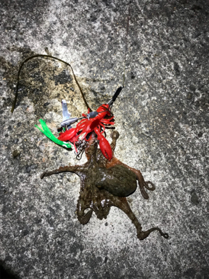 リリースサイズばかり