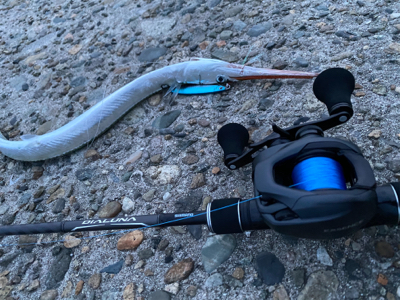 ベイトタックル入魂はダツw