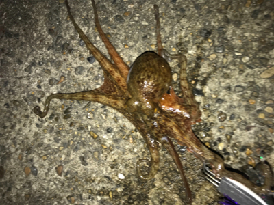 自分だけの話ですが