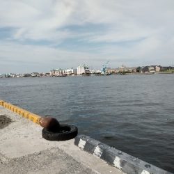 今週は落とし込みで黒鯛ゲット