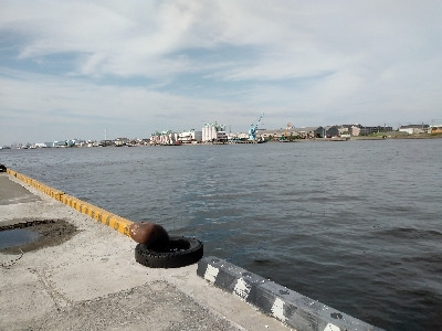 今週は落とし込みで黒鯛ゲット