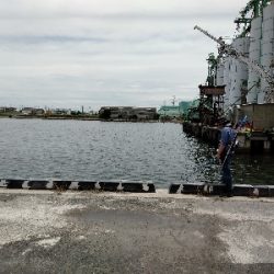 黒鯛3週連続ならず