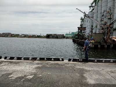 黒鯛3週連続ならず