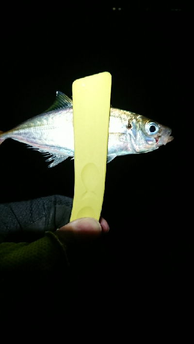 いつまで続く？