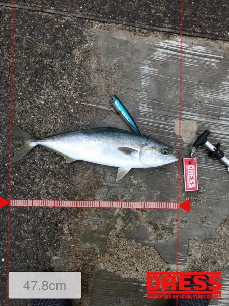 ポコポコドンッ!6月12日