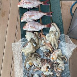 タイラバ渋かった