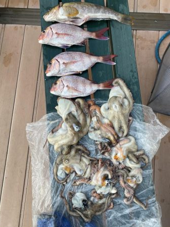 タイラバ渋かった