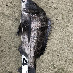 イチノ兄弟、釣果!