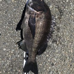 イチノ兄弟、釣果！