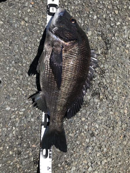 イチノ兄弟、釣果！