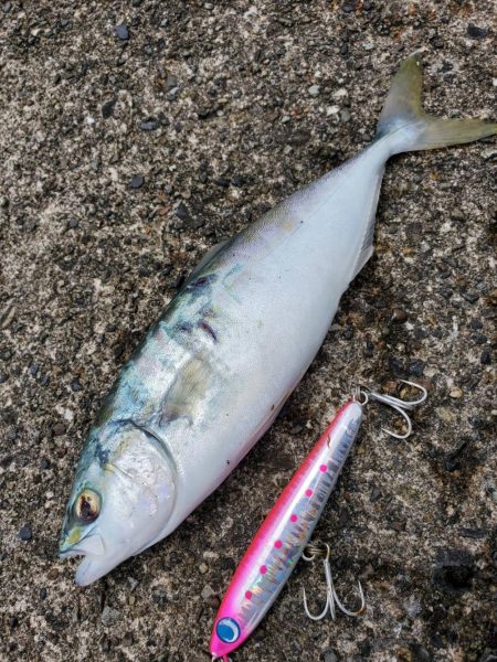 串本ショアジギ