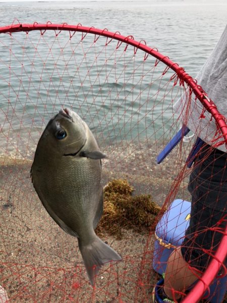 はじめての紀州釣り