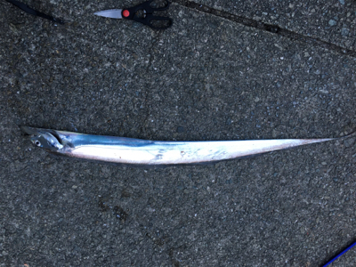 ドラゴンついに