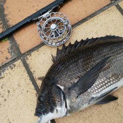 雨降る前に　～さざなみ公園～