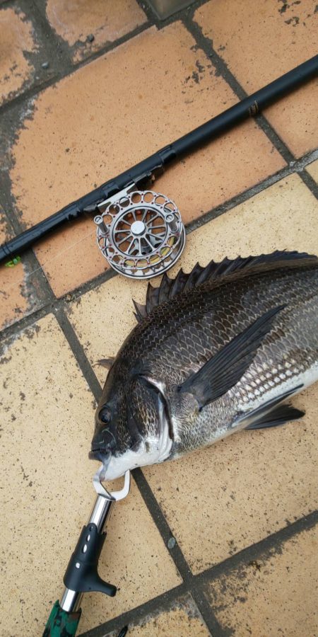 雨降る前に　～さざなみ公園～