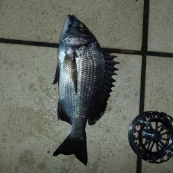 久々の複数枚 ~さざなみ公園~