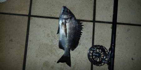 久々の複数枚　～さざなみ公園～