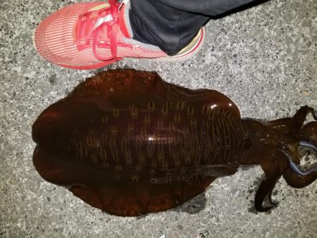 二キロアップ(^^)v