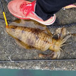 デイのキロアップ(^^)v