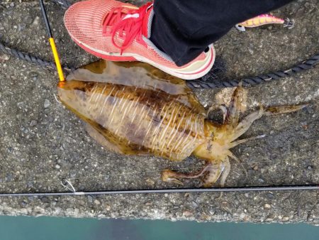 デイのキロアップ(^^)v