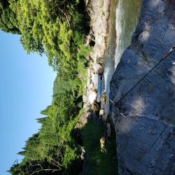 ちびっこ入れ食い！！