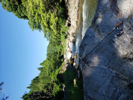 ちびっこ入れ食い！！