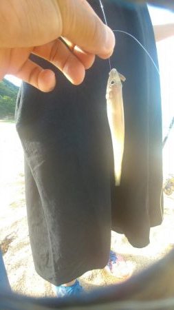 海水浴しながらキス釣り