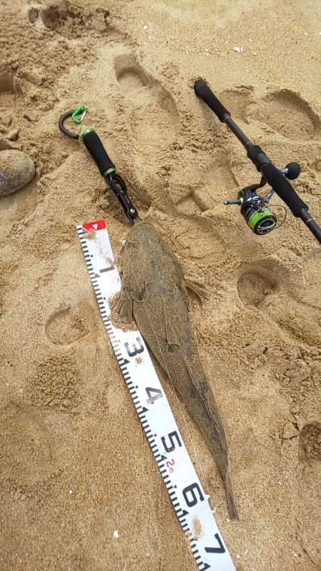 今年 初ランカーサイズ！