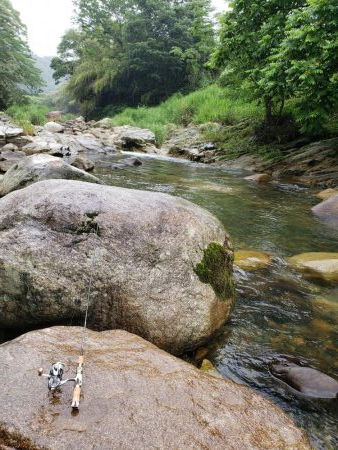 新しいネットに入魂