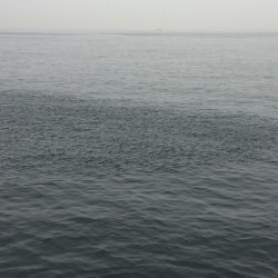 初❗️、、パート3