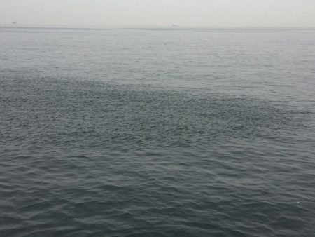 初❗️、、パート3