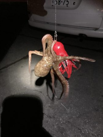 タコタコゲーム開幕