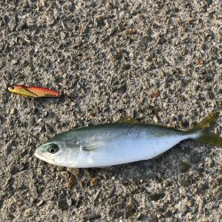 自粛明け１発目