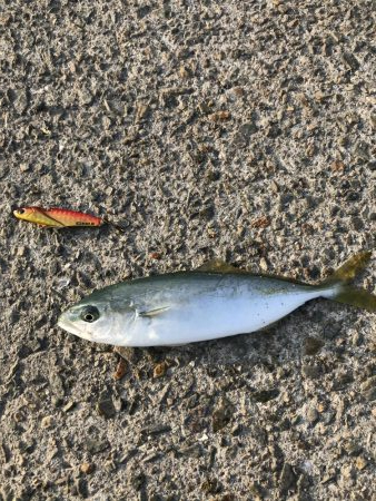 自粛明け１発目