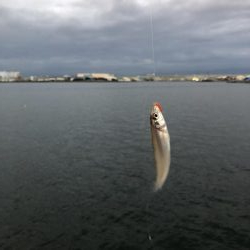 雨後はやっぱり渋かった
