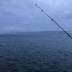 アジが渋い。マナーが悪い