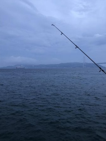 アジが渋い。マナーが悪い