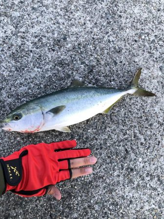 激渋の中での2本