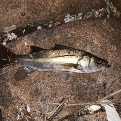 なんとか粘って