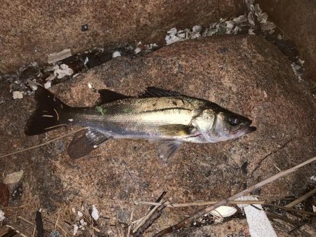 なんとか粘って