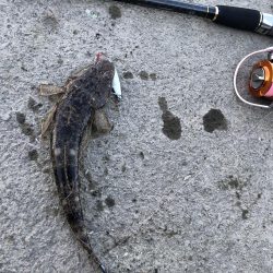 天降川のリベンジ